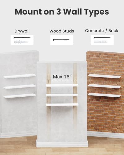 Amada 23.6" Floating Shelves for Wall Decor & Storage, Set of 3, White