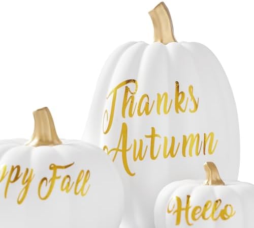 DN DECONATION 3Pcs Fall Pumpkin Decorations for Home, Faux Words Pumpkin