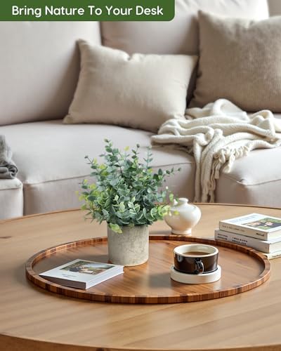 Velener 2 Pcs Small Fake Plants Eucalyptus, Artificial Plants Indoor for Shelf, Potted Eucalyptus Plants for