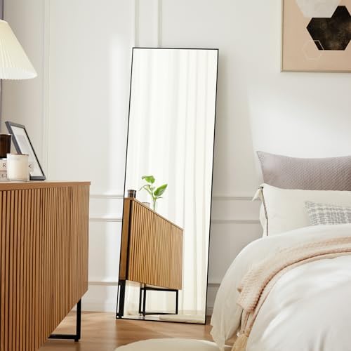 21"x64" Mirror Full Length, Upgraded Body Wall Mirrors