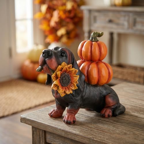 Thanksgiving Dachshund Dog Statue, Fall Pumpkin Dog Figurine Decor