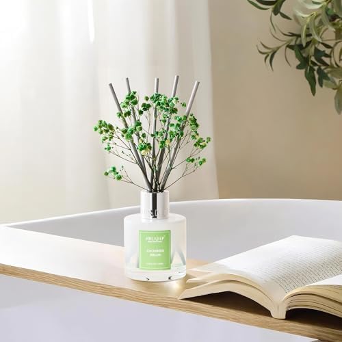 Airkeep Reed Diffuser Set,3.38 fl oz (100 ml) - Cucumber Melon Oil Diffusers with 8 Reed Sticks, Home Fragrance Reed