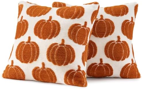 Fall Pumpkin Pillow Covers Fall Decor 18x18 Set of 2 Rust