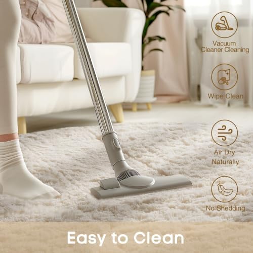 Ophanie 3x5 Oval Ivory Rugs for Bedroom Living Room,Fluffy Fuzzy Furry Carpet,Plush Soft Shaggy Indoor Floor Area Rug