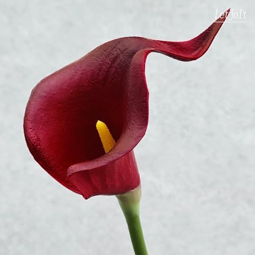 Letjolt Artificial Calla Lily Flowers Dark Red Flowers 20Pcs