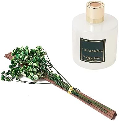 Cocorrína Reed Diffuser Sets- Eucalyptus & Moss Scented Diffuser with Sticks Home Fragrance Reed Diffuser for Bathroom