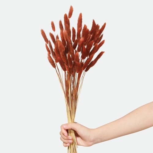 120pcs Bunny Tails Dried Flowers Pampas Grass Bouquet, Caramel