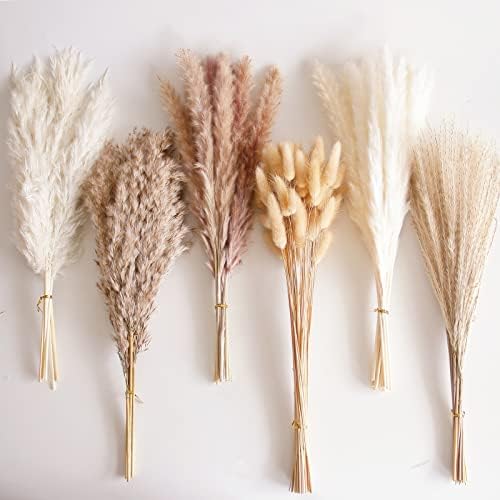 Bunny Tails Dried Flowers / Pampas Grass / Brown / Set of 110