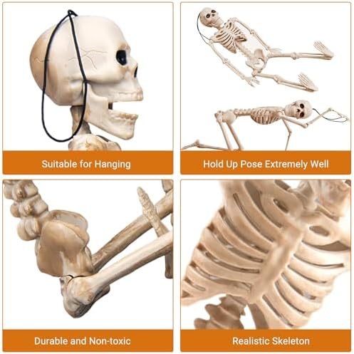 16" Poseable Small Skeleton for Halloween: Sturdy Joints Hold Pose Firmly