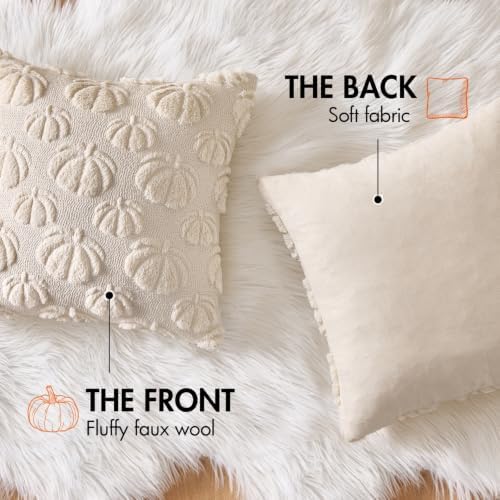 MIULEE Fall Decor Pillow Covers 20x20 Set of 2 Pumpkin Beige