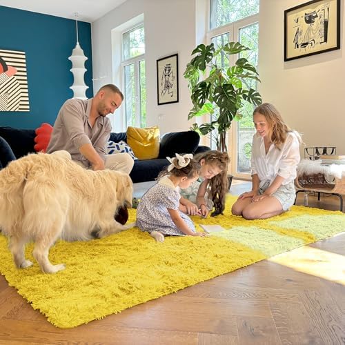OLANLY 9x12 Machine Washable Large Area Rugs for Living Room, Bedroom, Soft Fluffy Shaggy Bedside Rug, Indoor Floor