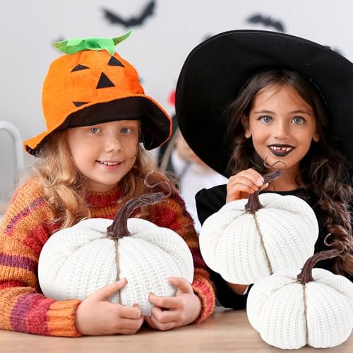 HunnmingRe 6 Pcs Pumpkin Decor Large 6 Inch Crochet Fall White Pumpkins