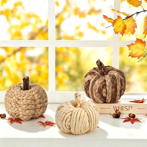 Lulu Home Set of 3 Handwoven Pumpkins Decor