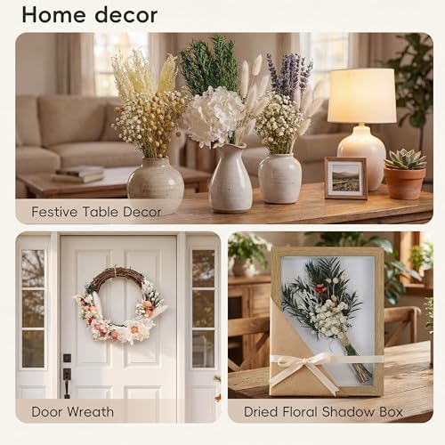 LUXEEASE 11 Kinds Mixed Mini Dried Flowers Bouquet with Stems, 176 Pcs