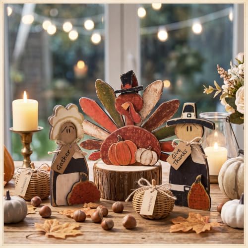 Cinnvoice 3 Pcs Fall Decorations Thanksgiving Pilgrim Turkey Tabletop Signs