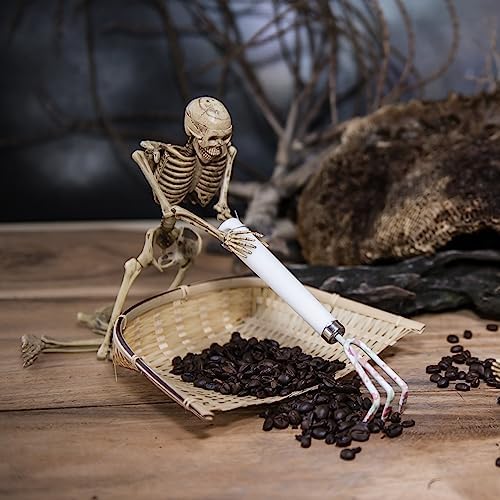 Halloween Skeletons Decorations, 16" Posable Plastic Skeleton 5 Packs, Full Body Skeleton Bulk with Movable Joints, Realistic Spooky Scary Skeletons for Outdoor Indoor Halloween Party Haunted House