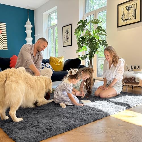 OLANLY 6x10 Machine Washable Large Area Rugs for Living Room, Bedroom, Soft Fluffy Shaggy Bedside Rug, Indoor Floor
