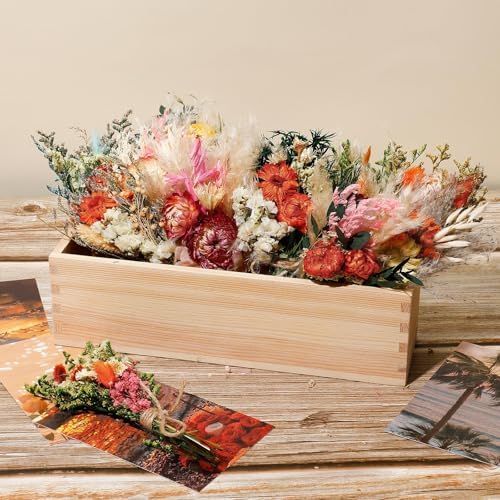 Layhit 12 Pcs Mini Dried Flower Bouquet Boho for Wedding,African Daisy