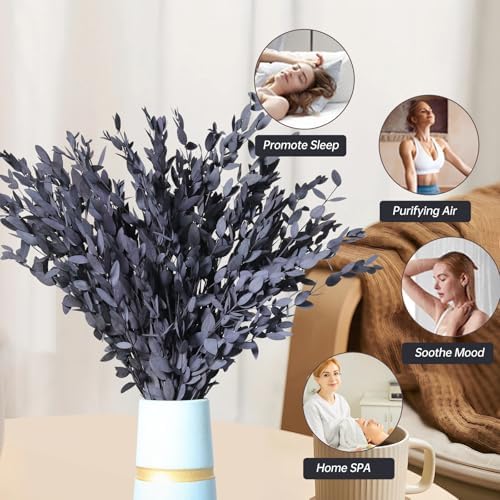 Dried Eucalyptus Leaves Real Preserved Stems, Fresh Eucalyptus Garland Branches for Shower, Dried Plant Live Bundle Purple Leaves for Wedding Wreath Party Home Fragrance Vase Décor