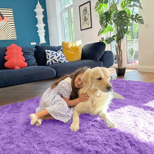 OLANLY Area Rugs for Living Room Bedroom, Machine Washable 4x5.9 ft Soft Fluffy Shaggy Bedside Rug, Indoor Floor Carpet