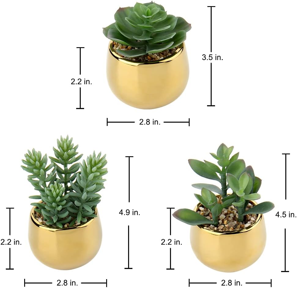 Small Artificial Succulents in Pots Realistic Faux Succulents Plants / Style #09 / Gold / Set of 3