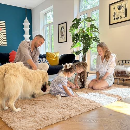OLANLY 10x14 Machine Washable Large Area Rugs for Living Room, Bedroom, Soft Fluffy Shaggy Bedside Rug, Indoor Floor