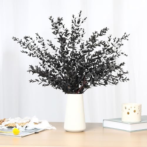 Dried Eucalyptus Leaves Stems, Real Preserved Fresh Eucalyptus Plant for Shower, Small Dried Willow Branches Bundle for Wedding Wreath Party Home Fragrance Vase Bathroom Decor (Black, 3oz)