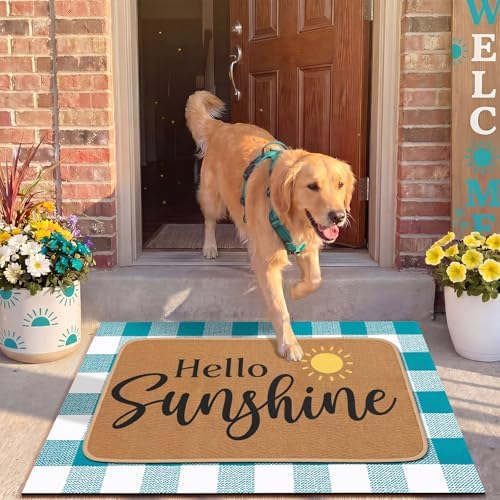 Tinideya 2 Pcs Hello Sunshine Layered Door Mat Outdoor
