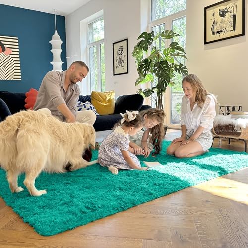 OLANLY 3x5 Machine Washable Small Bedside Rug, Soft Fluffy Shaggy Rugs for Living Room, Bedroom, Indoor Floor Carpet