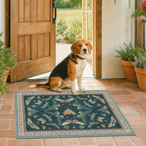 Washable Entry Rugs for Inside House - Non Slip 2x3 Small Rugs for Entryway, Kitchen, Powder Room, Stain & Fade