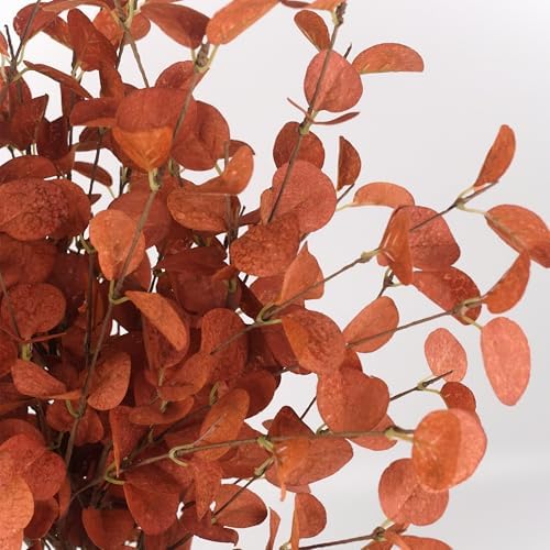 HomeKaren Fall Stems 6 Pcs Artificial Eucalyptus Fall Leaves 27.5 inch Fall Floral Picks, Fall Branches Decor for Vase, Fall Vase Filler Decoration Indoor