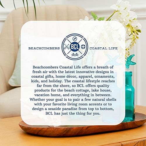 Ceramic Shark Holder For Scrubber Sponge Soap Coastal Beach Decor Decoration / Blue / 4.5 x 4 x 4.5