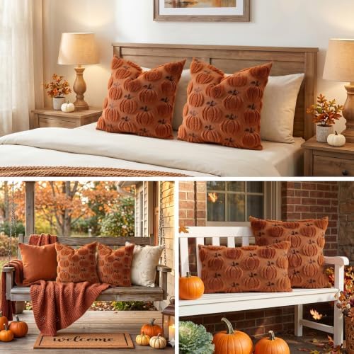 Artscope Fall Pumpkin Throw Pillow Covers 20x20 Set of 2, Autumn Soft Plush Faux Fur Decoration Cushion Covers for Thanksgiving Holiday Couch Sofa Bedroom Home Decor-Rust