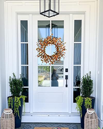 YNYLCHMX 20" Fall Wreath for Front Door, Brown Eucalyptus and Berry Decor