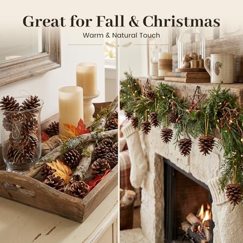 JOHOUSE 18 PCS Hanging Natural Pine Cones (1.5" - 2.5"), Rustic Pinecones