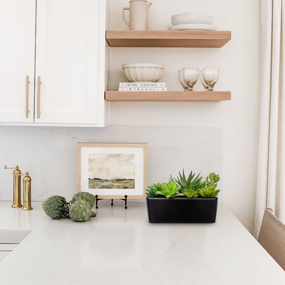 Artificial Succulents Plants in Ceramic Planter Assorted Faux Succulents in Pots / Black