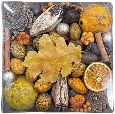 ANDALUCA Fall Harvest Fragrance Potpourri Decorative Vase & Bowl Filler Home Décor (Autumn Harvest)
