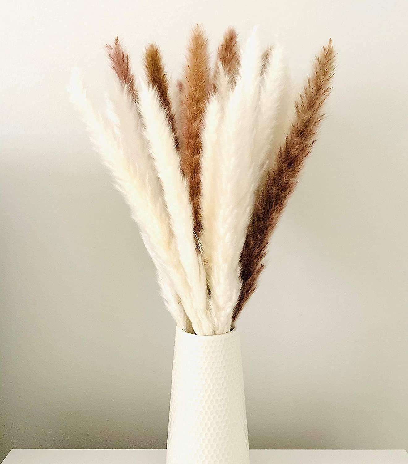 /45 cm Natural Dried Pampas Grass Branches Decor / White-pro / 17 Inch / Set of 60