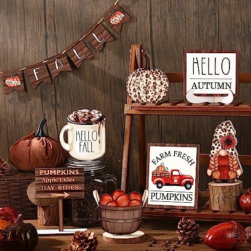 FairySandy 13 Pcs Fall Tiered Tray Decor Set Pumpkin Gnome Hello Autumn