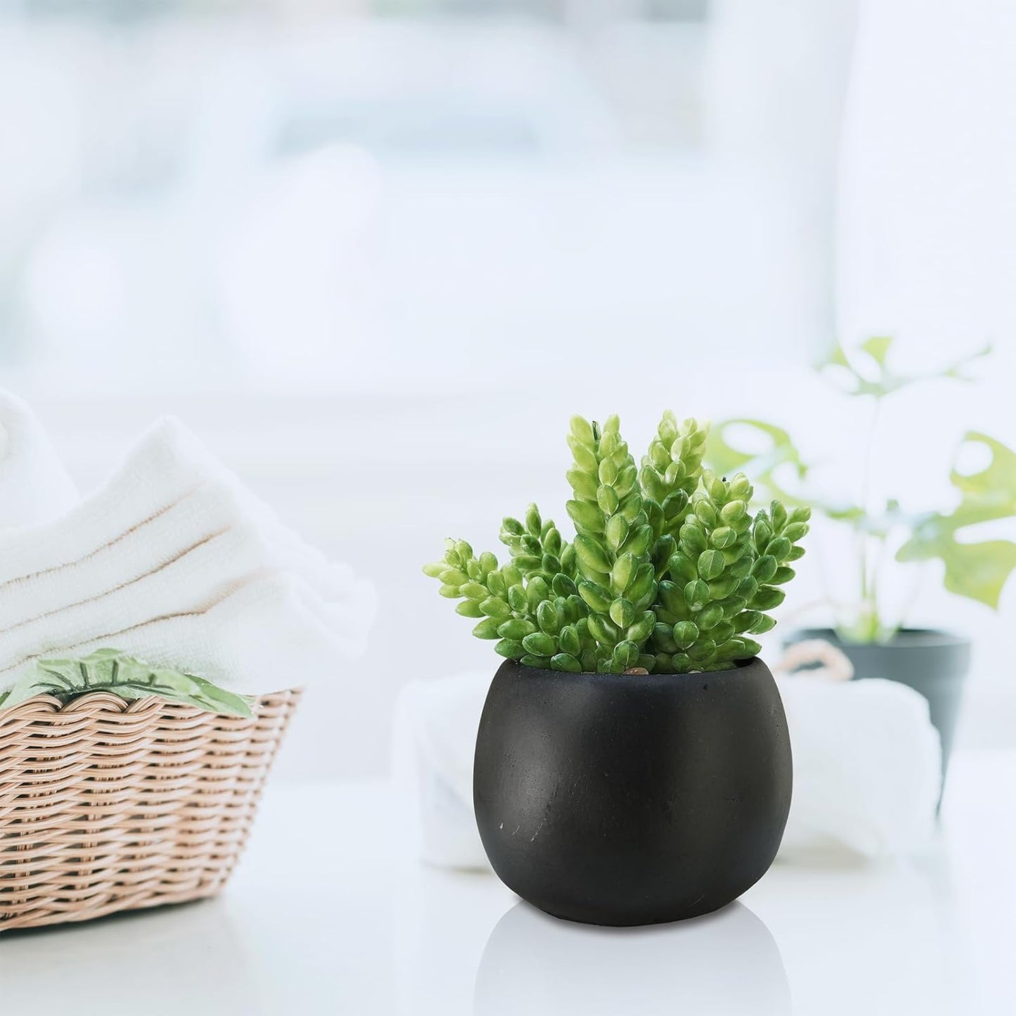 Artificial Succulents Plants in Black Cement Planters Faux Potted / Black Cement Pots / Set of 3
