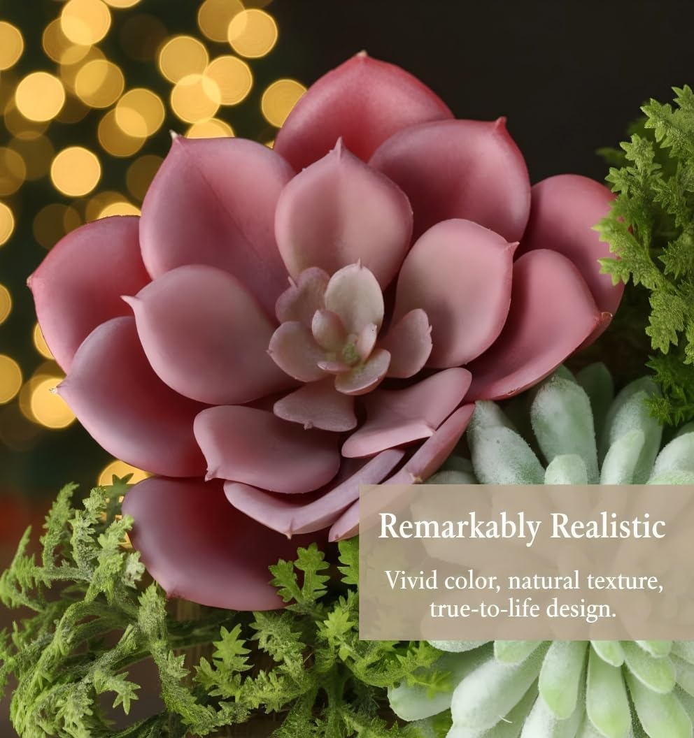 Succulent Plants Artificial / Symphony / Set of 3