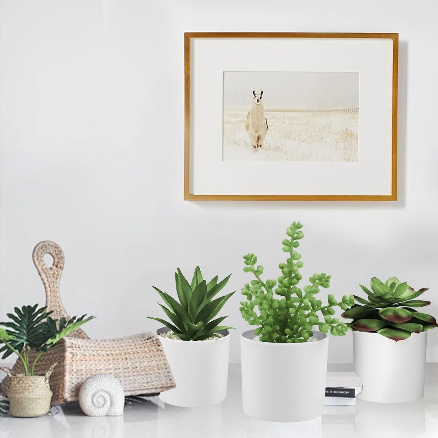 Succulent Plants Artificial in White Pots Small Faux Potted / Faux Plants-white / Set of 3