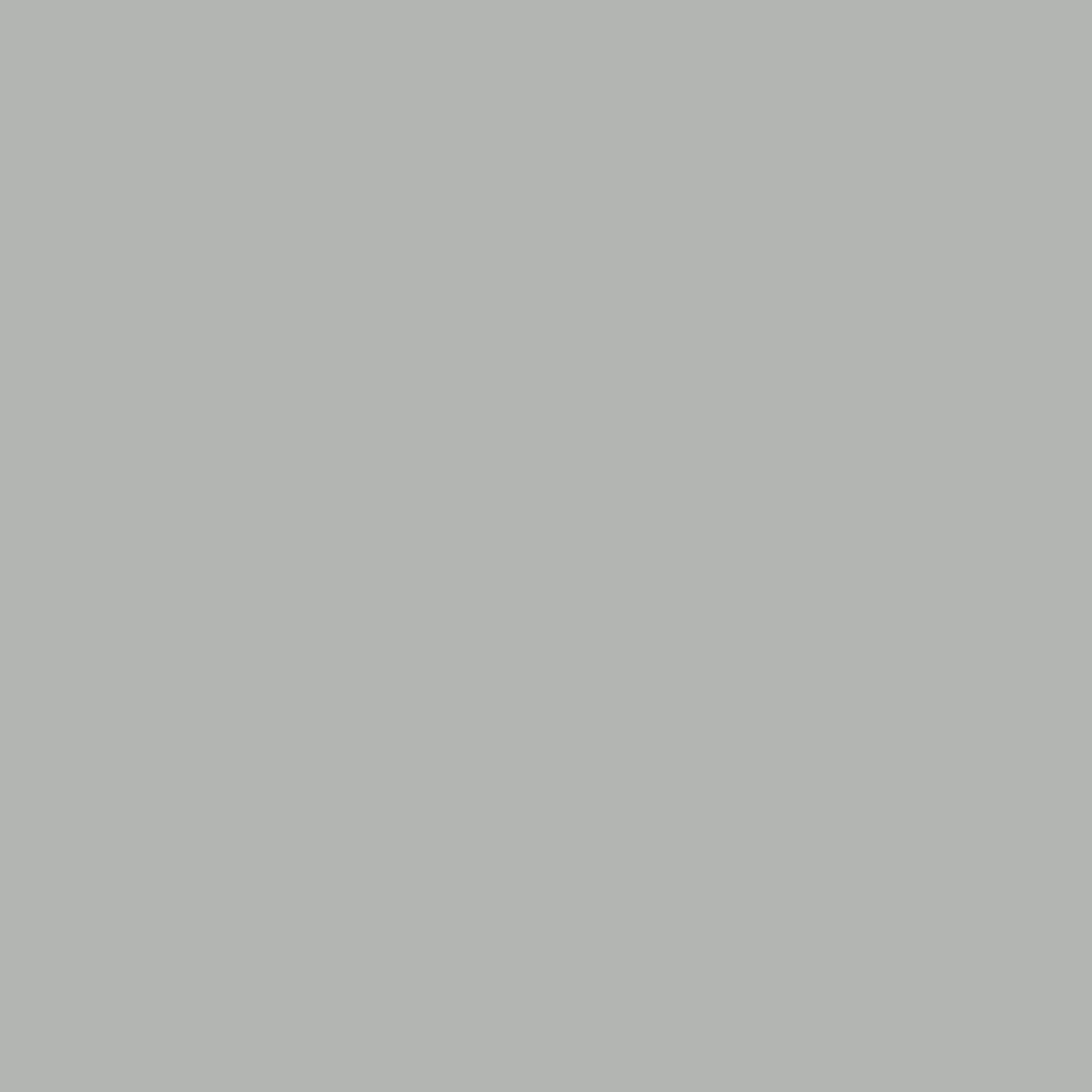 Space-Saving Storage Organizer / Gray / 5-hook