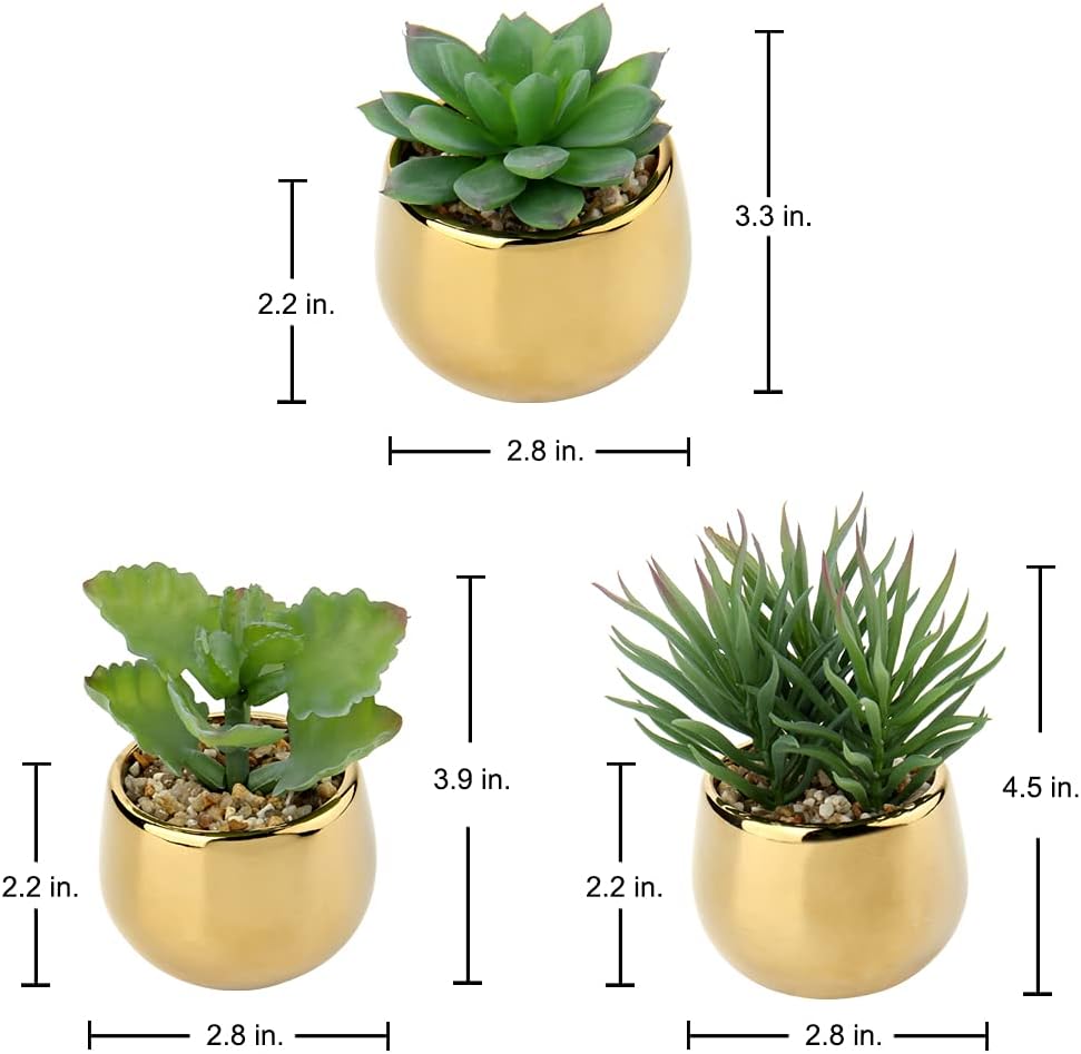 Small Artificial Succulents in Pots Realistic Faux Succulents Plants / Style 0 / Gold / Set of 3