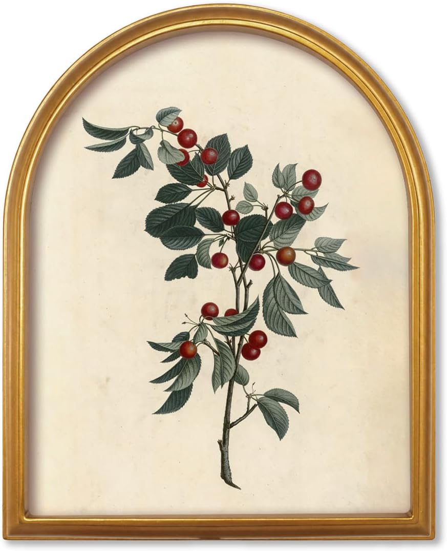 TwoDays Vintage Christmas Berries 11" x 13.8" Gold Arched Framed Wall Art