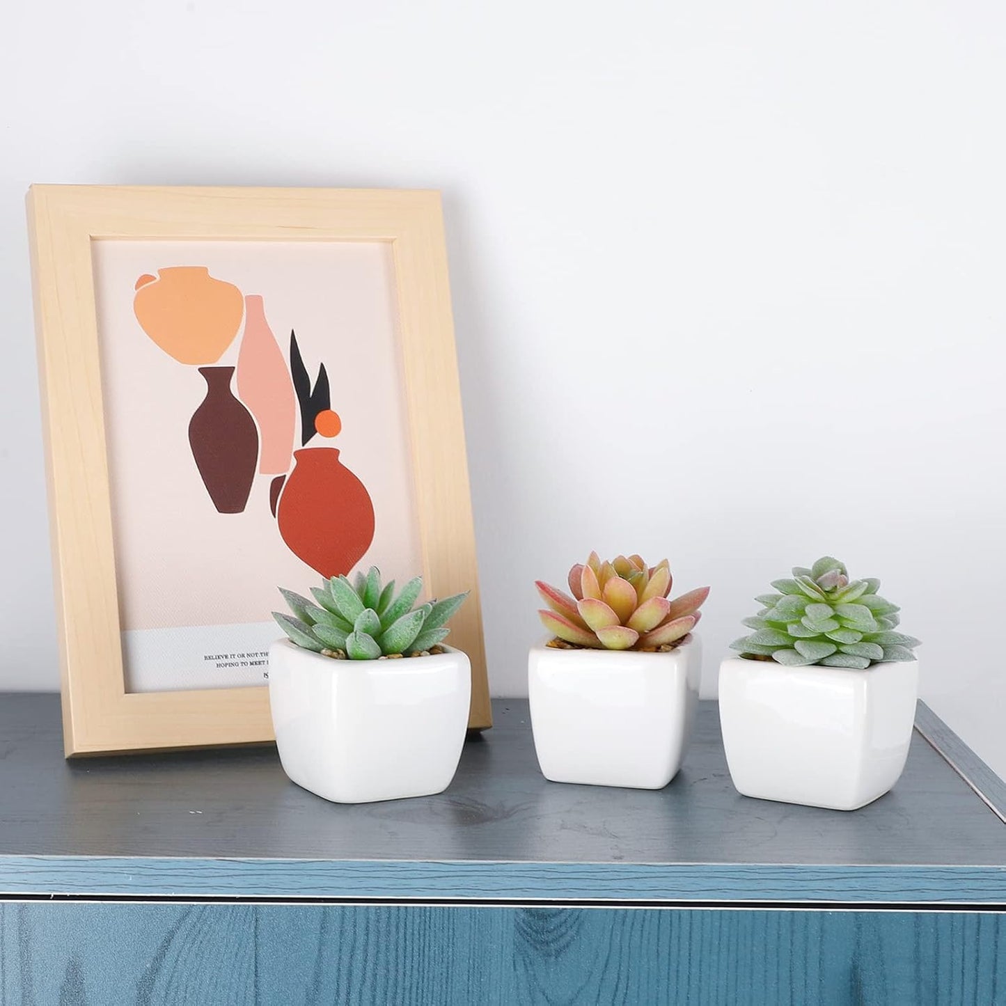 Artificial Succulent Plants / Set of 5