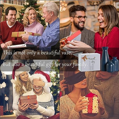 Ceramic Vases Small Flower Vases for Decor / Blue / Set of 3