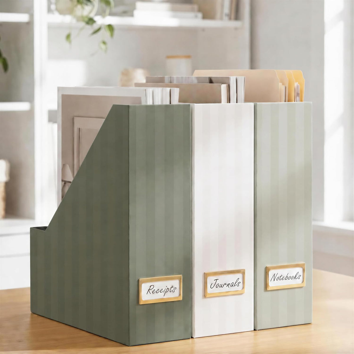 Beautiful Magazine Holder Set of 3 - Sturdy File Holder for Desk or Shelves | The Perfect Office & Work Storage to