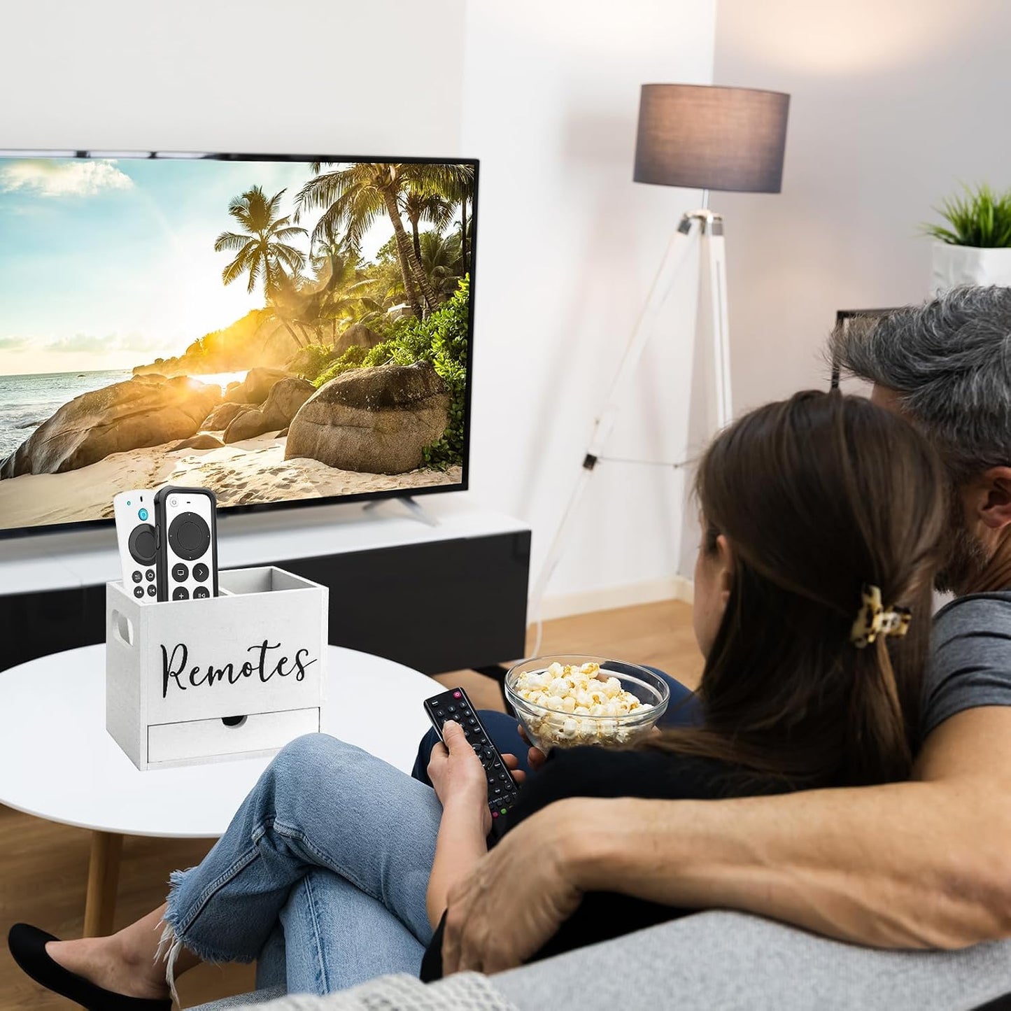 Remote Control Holder / White