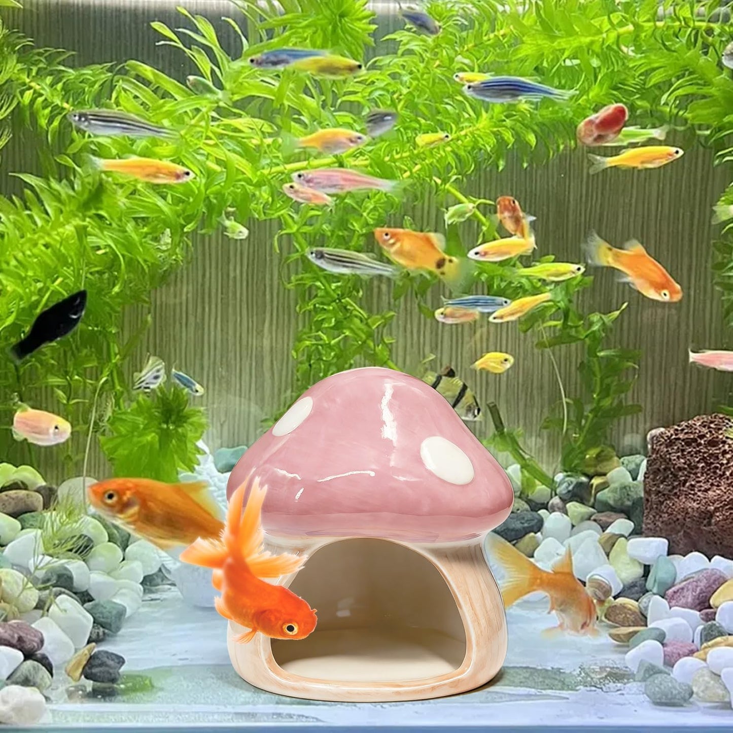 4.33'' x 4.33'' Ceramic Mushroom House Aquarium Decor / Pink